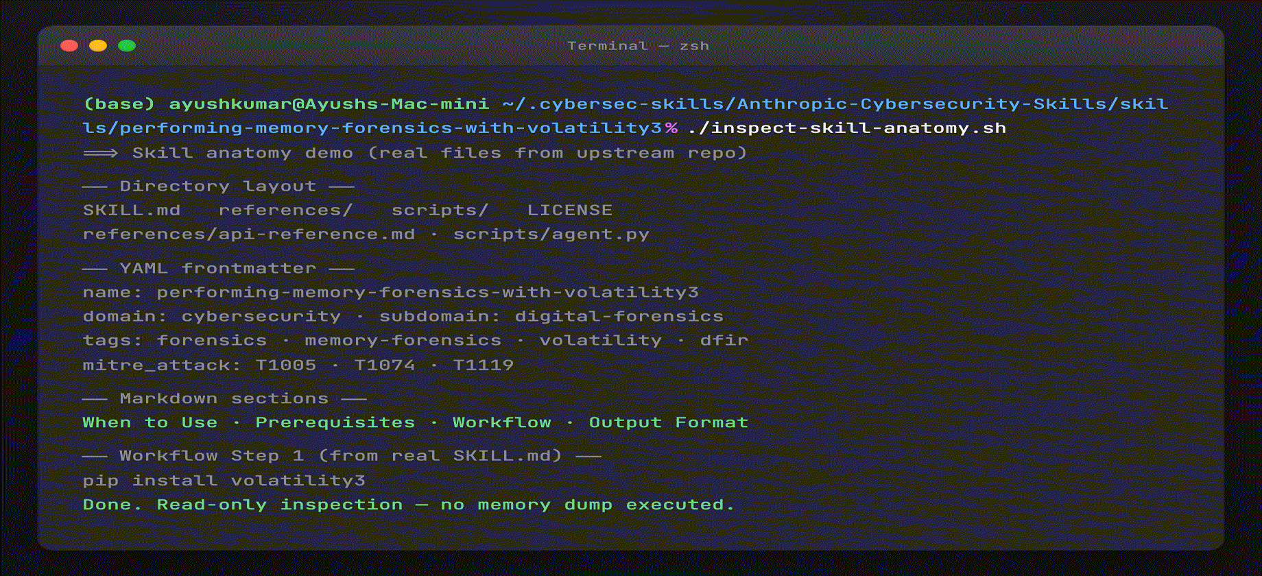 Part 11 — real skill anatomy inspection (terminal output)