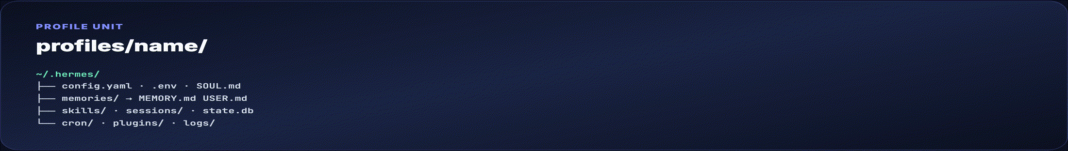 Profile directory anatomy — animated