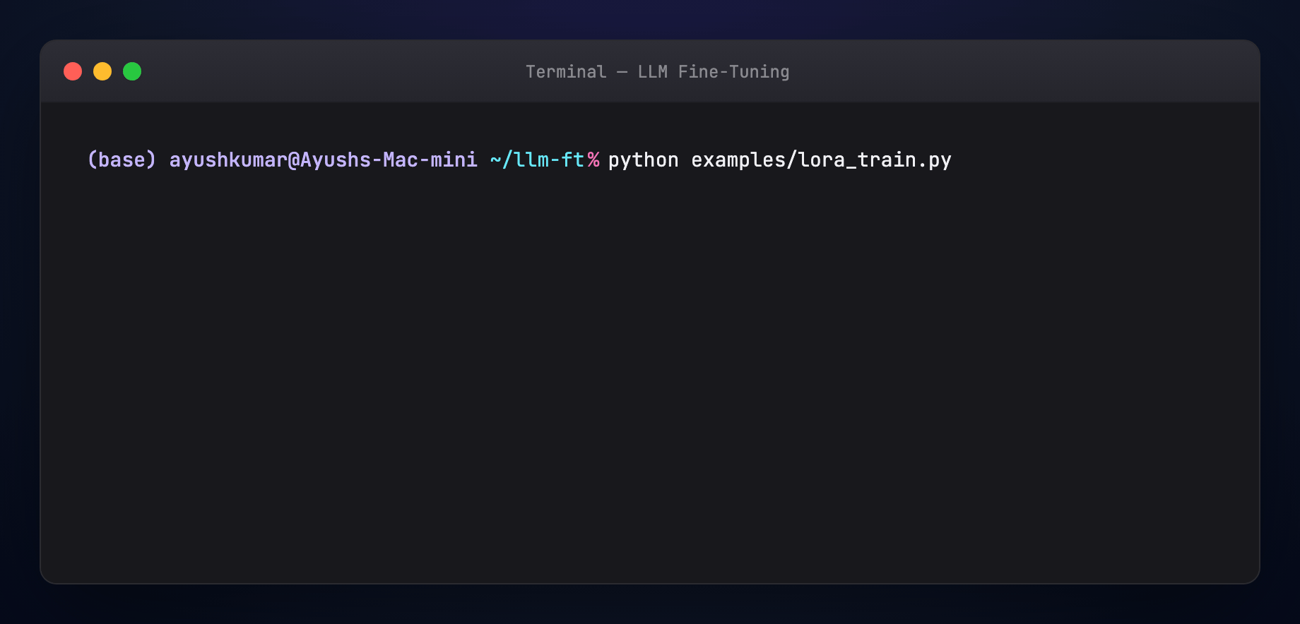 LoRA training session — animated terminal