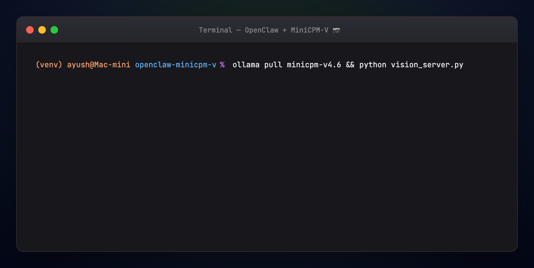Terminal demo — vision server + OpenClaw receipt analysis